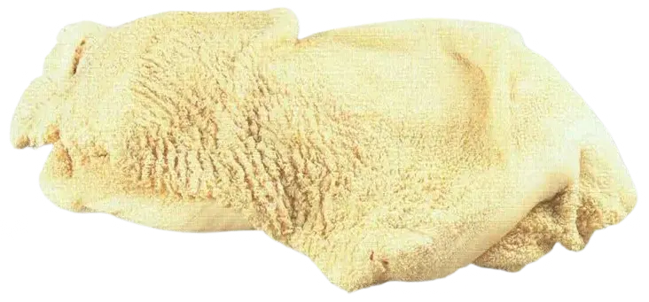 Trippa Cruda