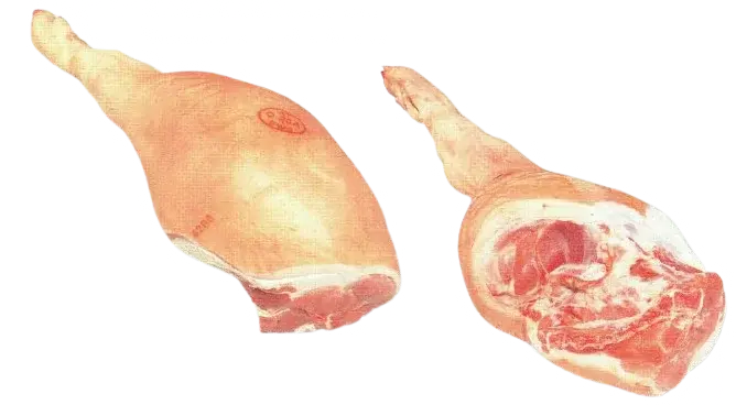 Coscia di Suino